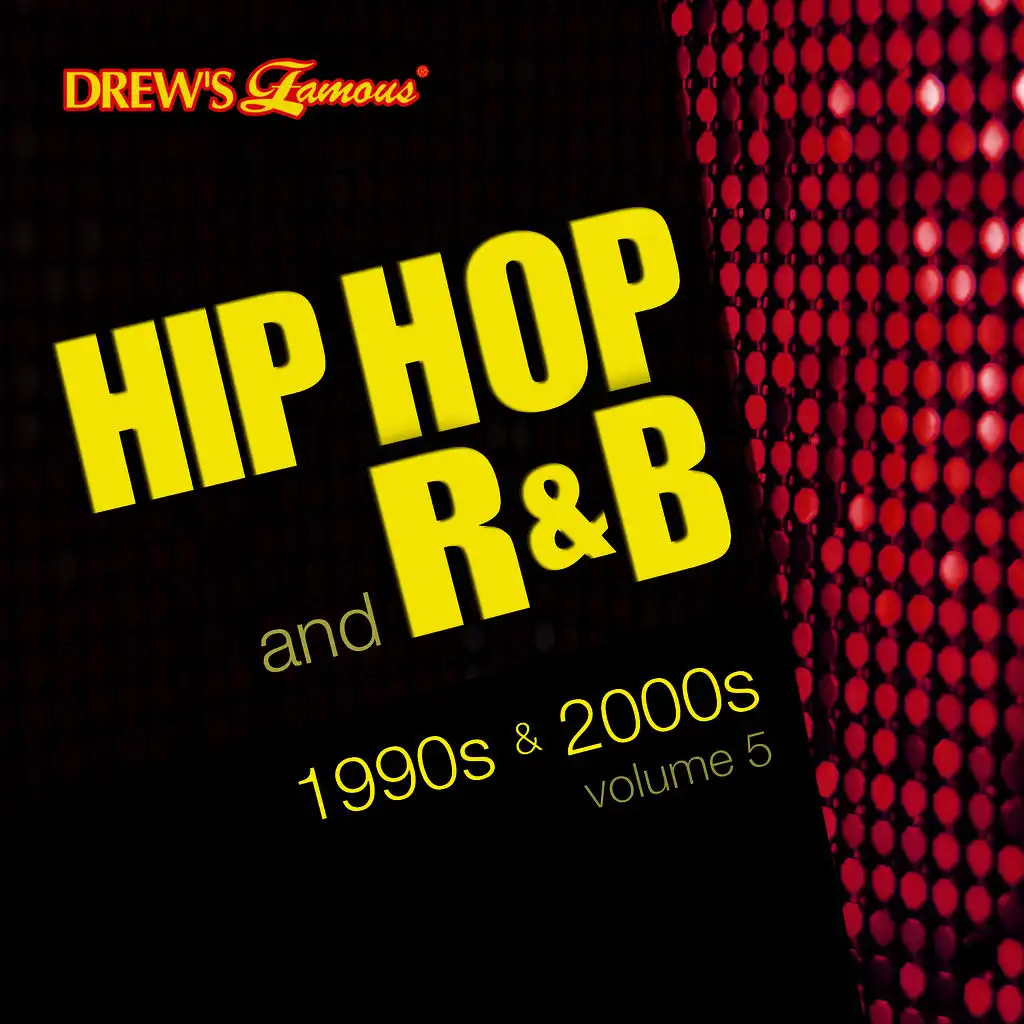Hip Hop and R&B of the 1990s and 2000s, Vol. 5