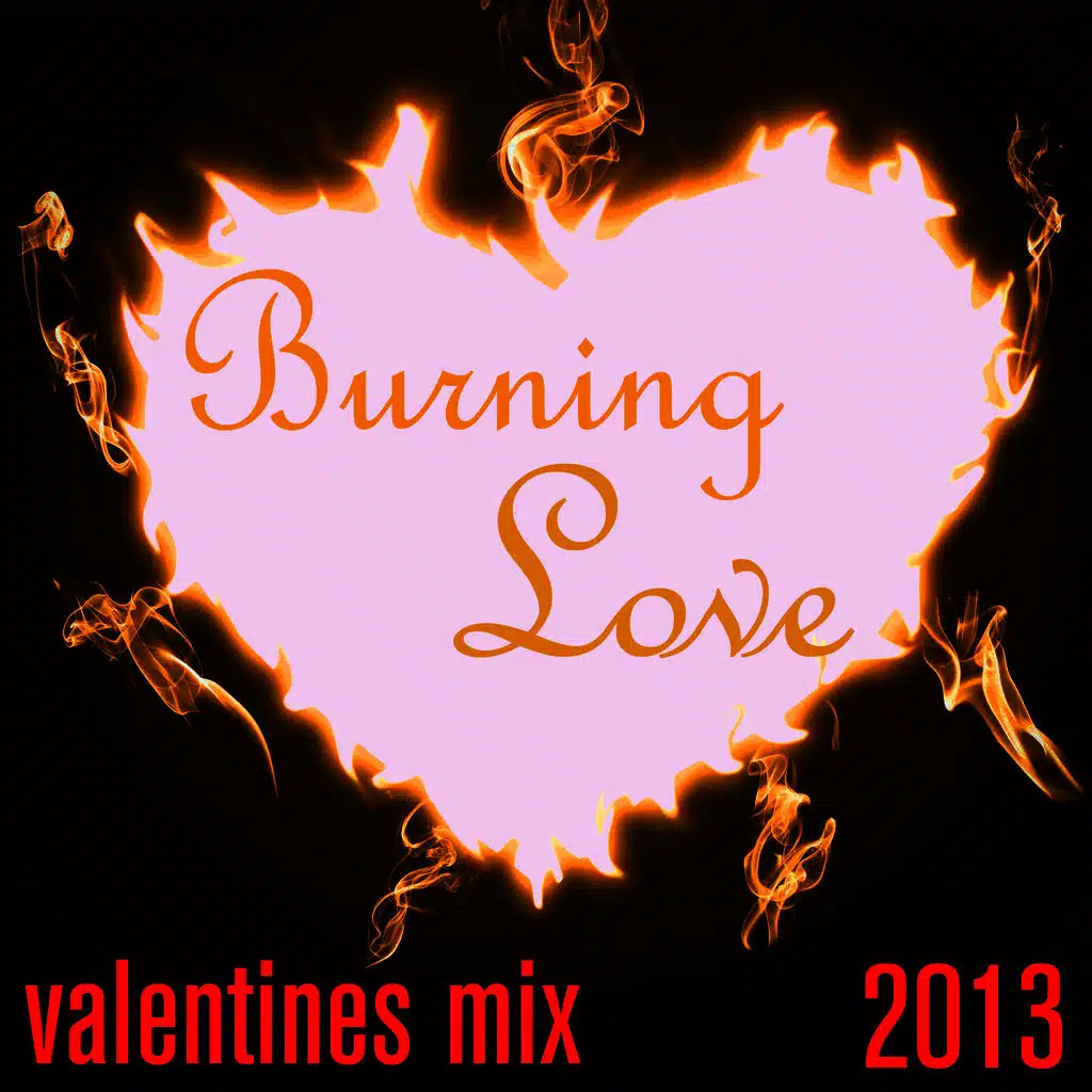 Dancing in the Moonlight: 2013 Valentine's Day