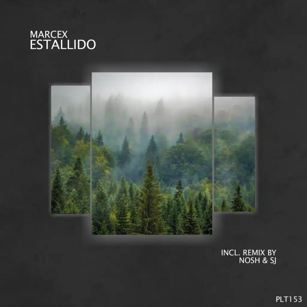 Estallido (Stream Edition)