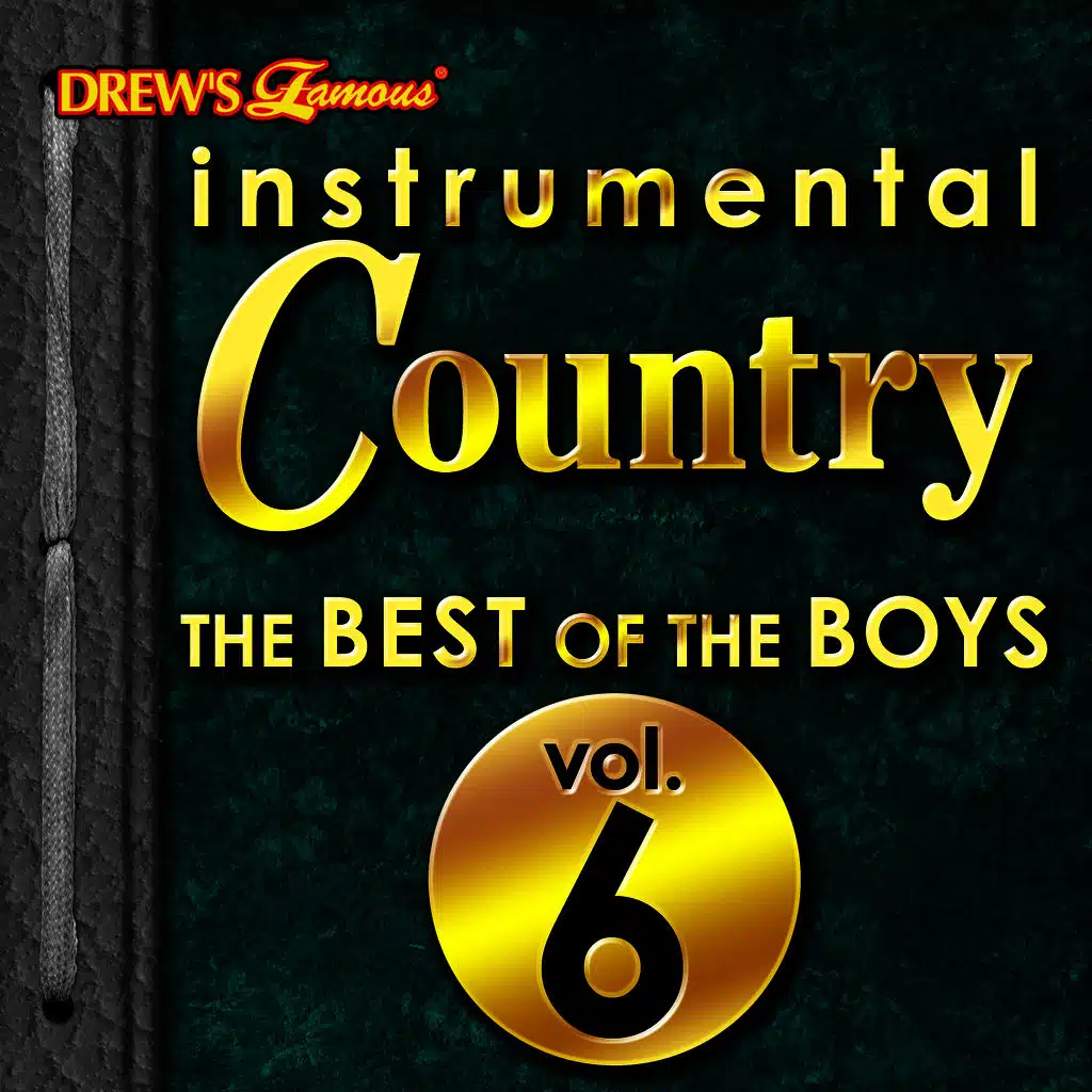 Instrumental Country: The Best of the Boys, Vol. 6