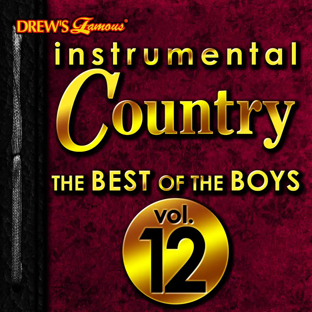 Instrumental Country: The Best of the Boys, Vol. 12