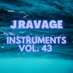 J Ravage Instrumentals, Vol. 43