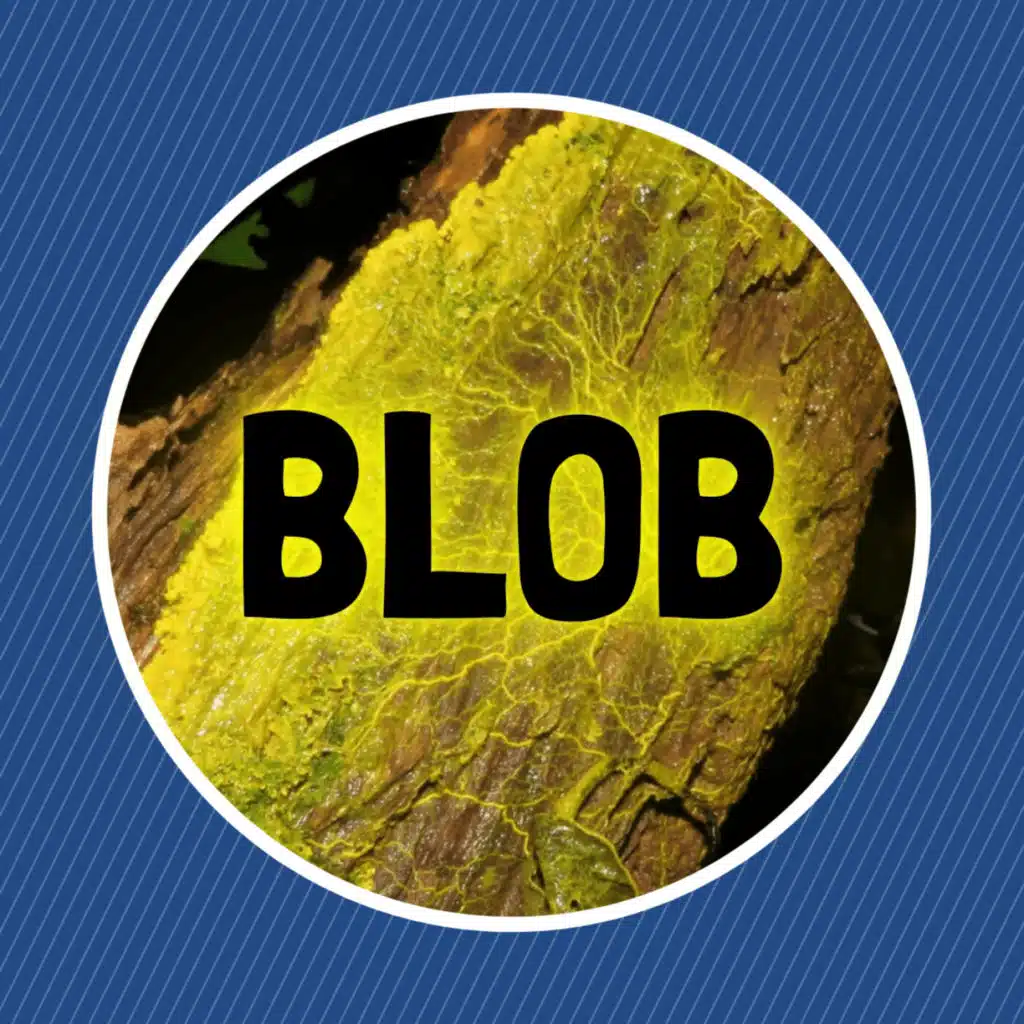 Qu'est-ce qu'un blob ?