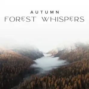 Autumn Forest Whispers Meditation – Nature and Rain Sounds, Relaxation & Deep Sleep