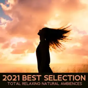 2021 Best Selection: Total Relaxing Natural Ambiences for Meditation and Sleep, Background for Yoga, Massage, Spa