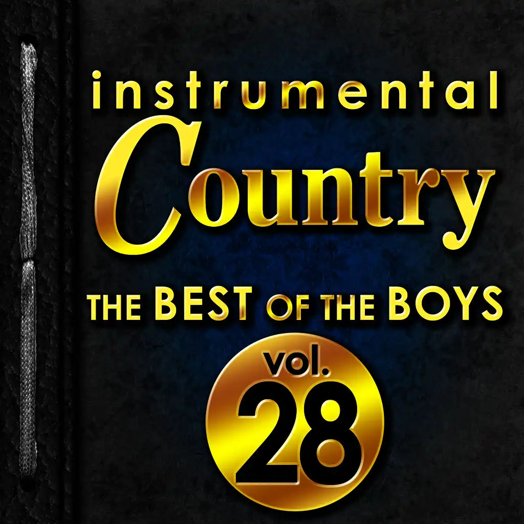 Instrumental Country: The Best of the Boys, Vol. 28