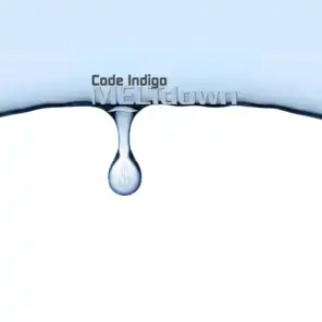 Code Indigo