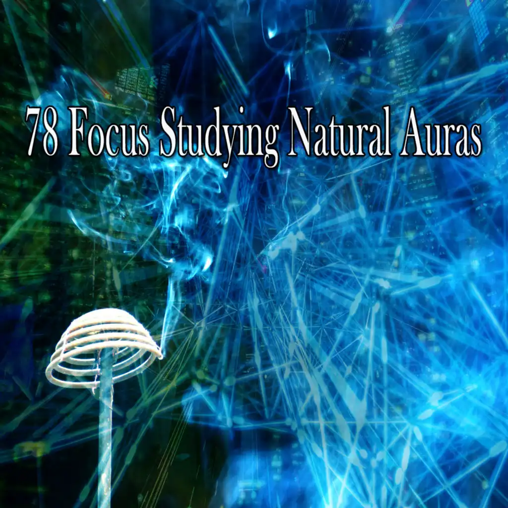 78 Focus Studying Natural Auras