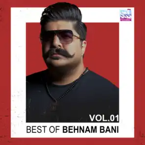 Best of Behnam Bani, Vol. 1