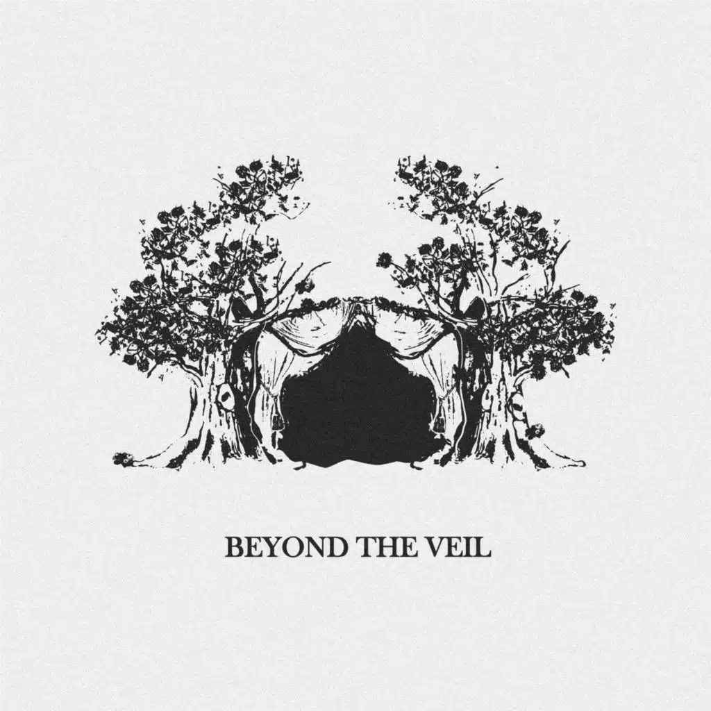 Beyond the Veil
