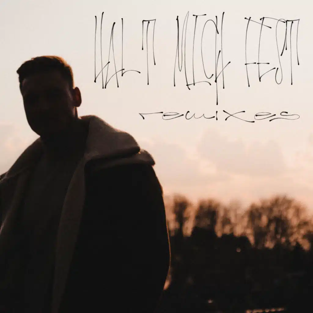 Halt mich fest (MartinBepunkt Remix)
