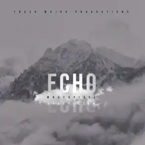 Echo (feat. Stack Zion & Mouthpi3ce)