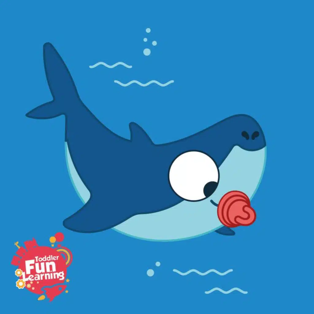 Baby Shark