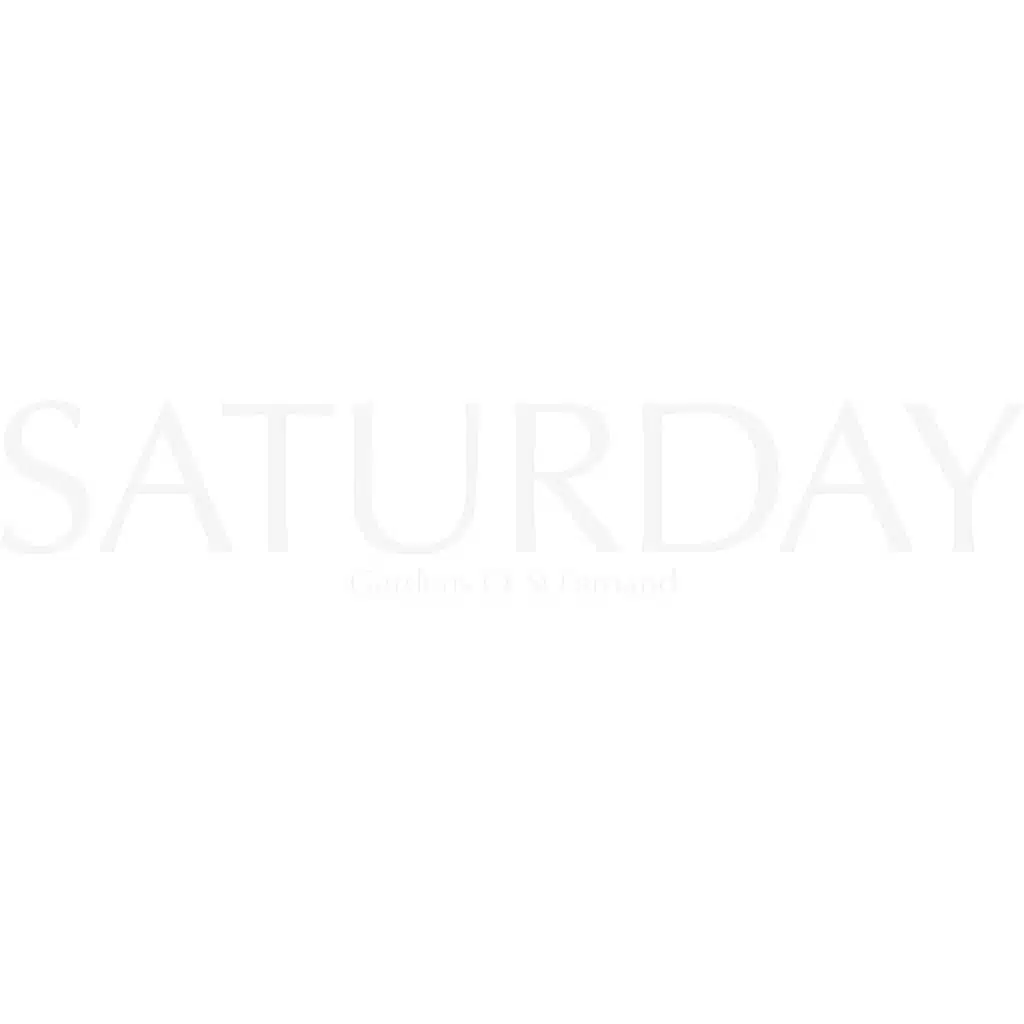 Saturday (Full Version)