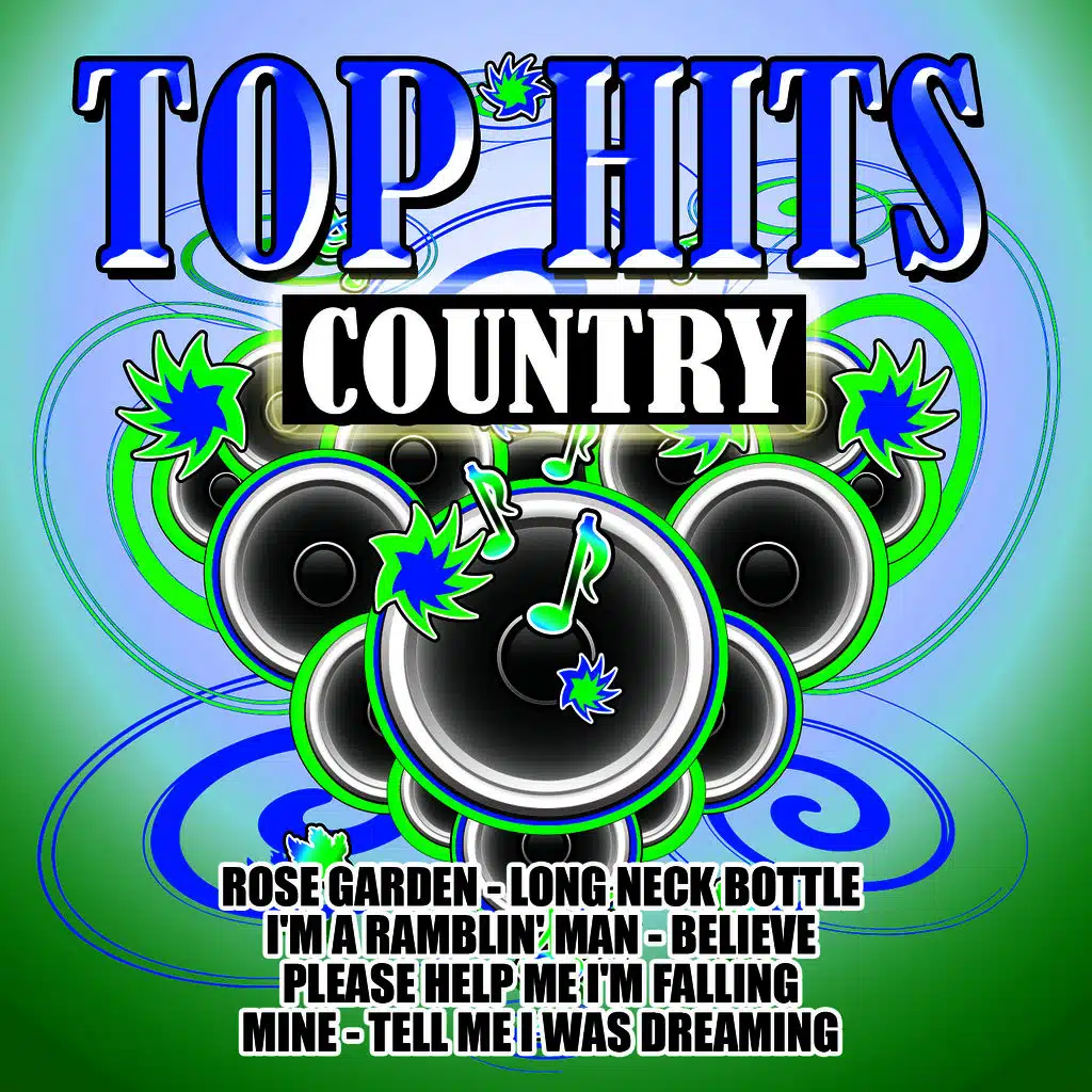 Top Hits-Country