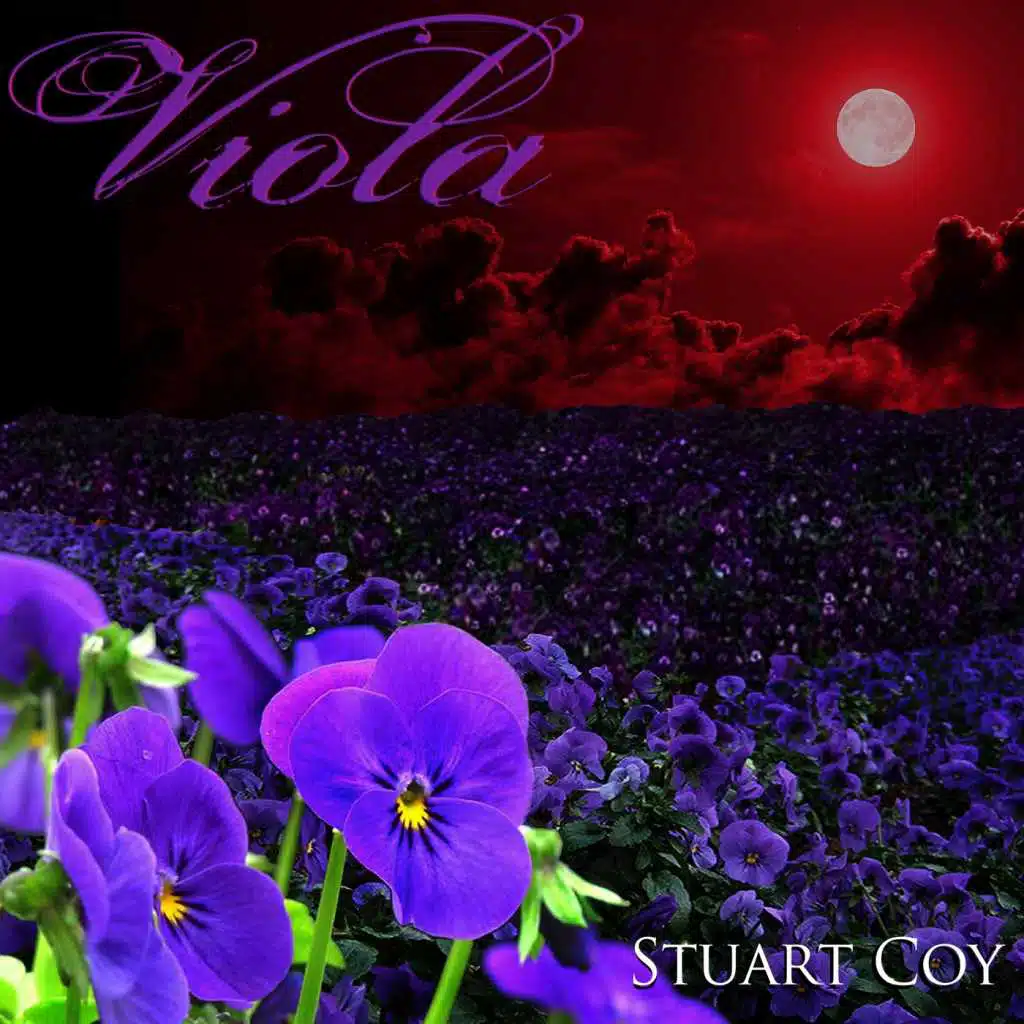 Viola