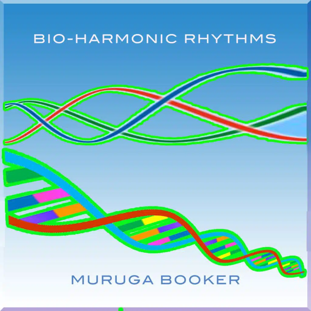 Bio​-​Harmonic Rhythms