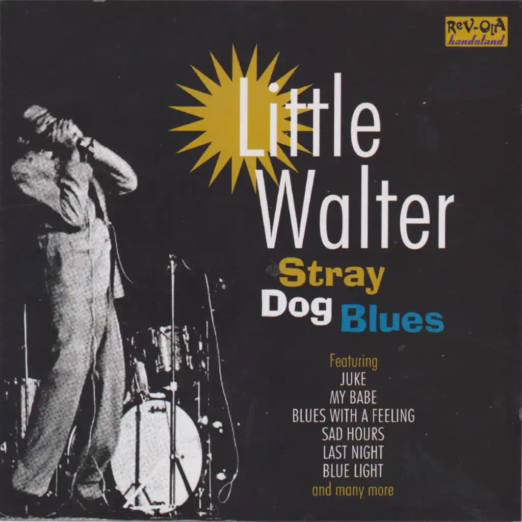 Stray Dog Blues