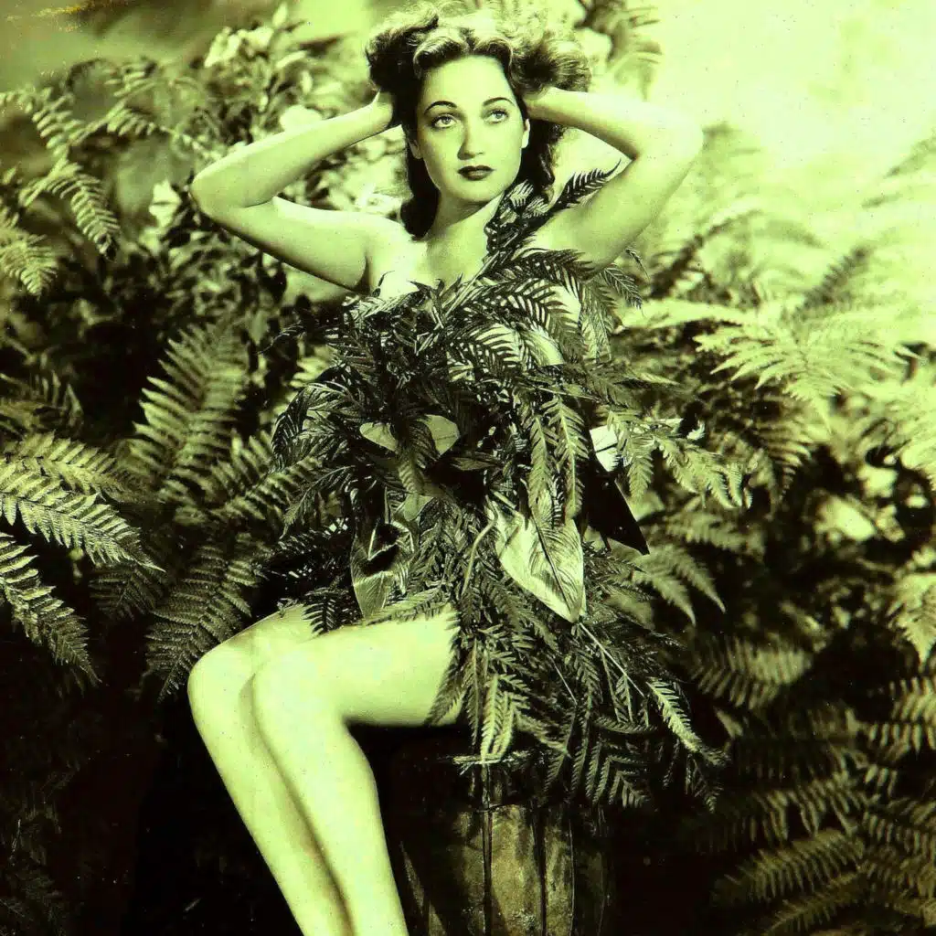 Burma Train (Stereo Version)