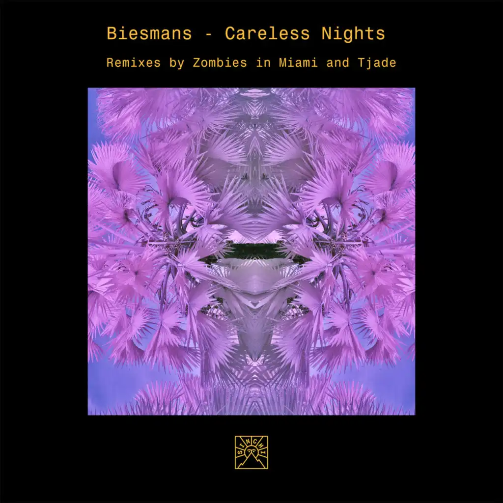 Careless Nights (Tjade Remix)