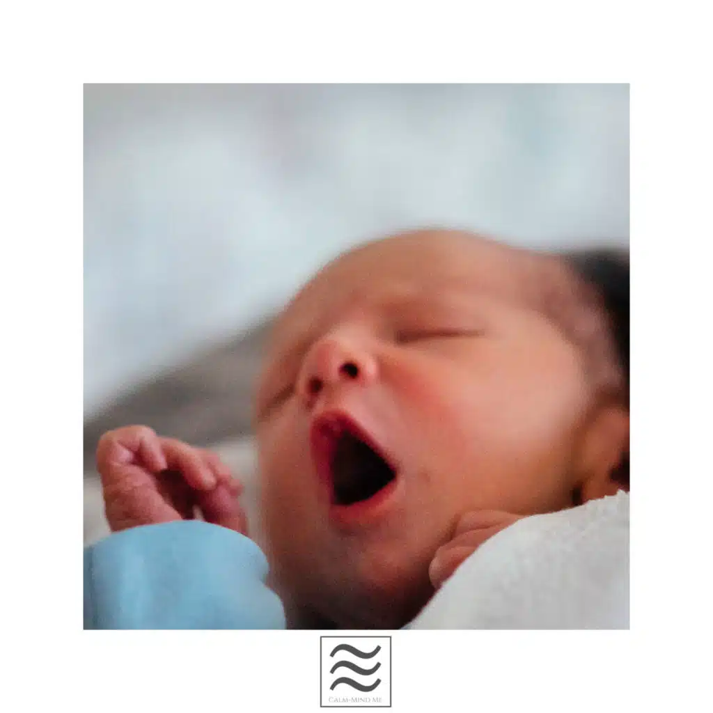 Enjoyful Sleepful Noisy Tones for Babies Sleep