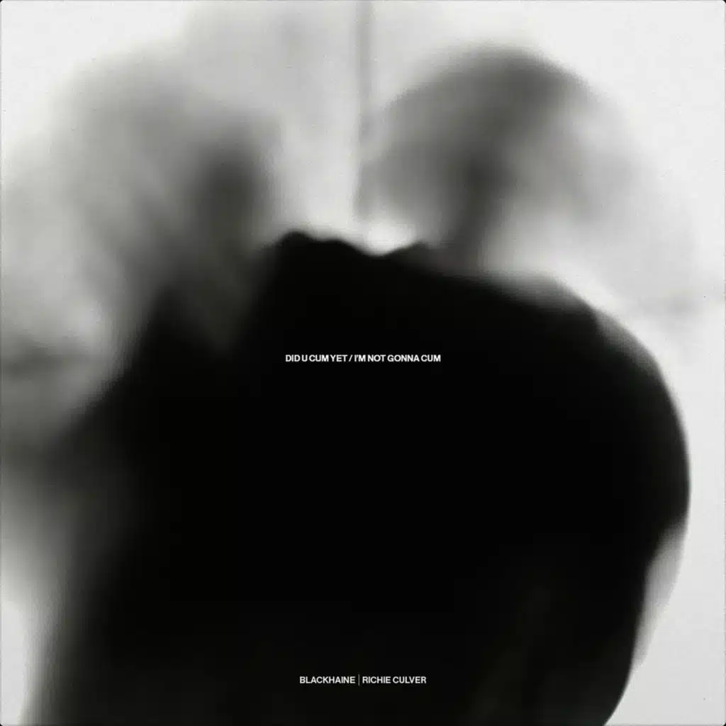 Did U Cum Yet / I'm Not Gonna Cum