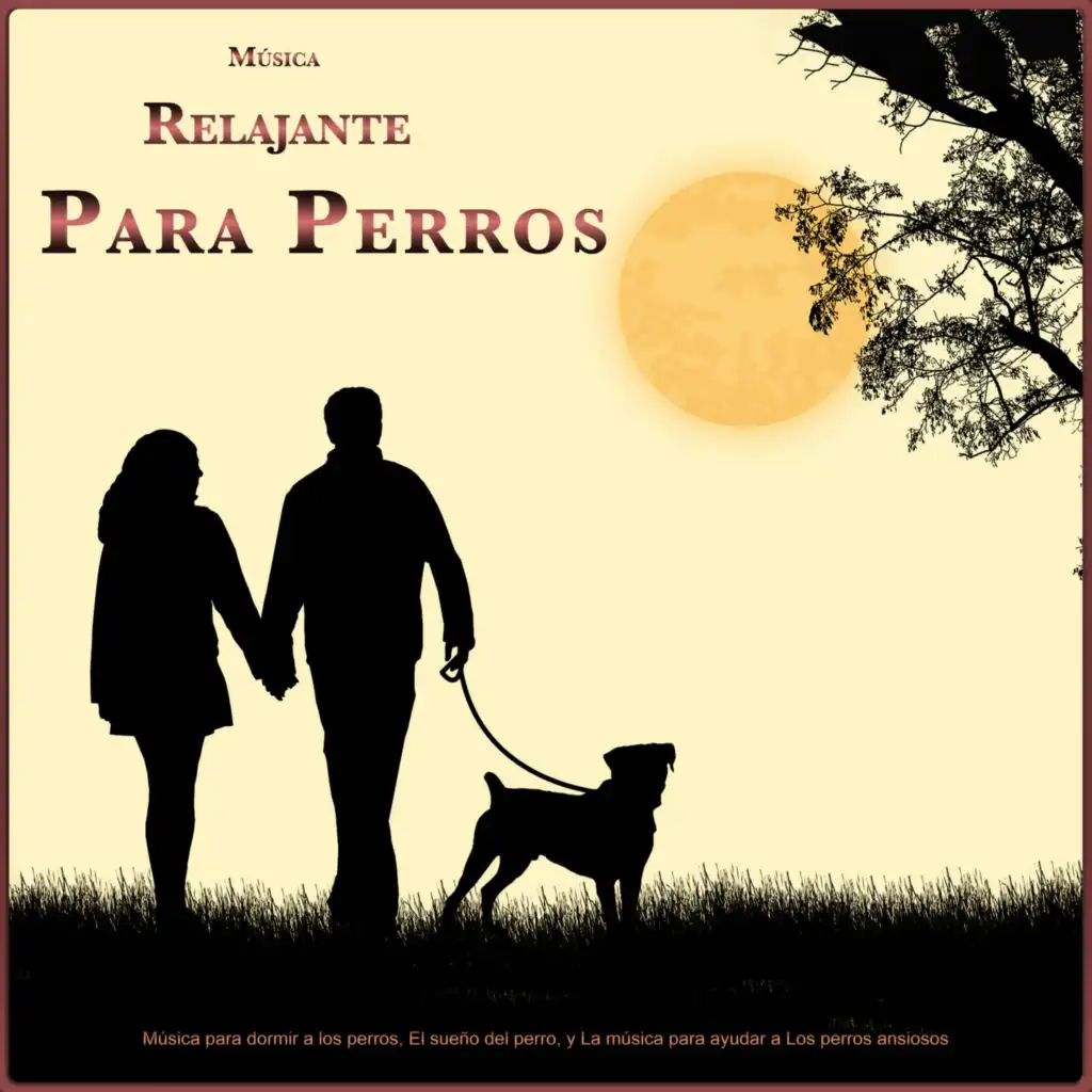 Música Relajante Para Perros: Música para dormir a los perros, El sueño del perro, y La música para ayudar a los perros ansiosos