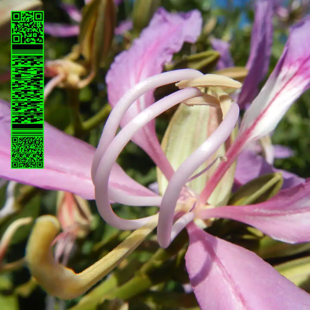 One More Fluorescent Rush