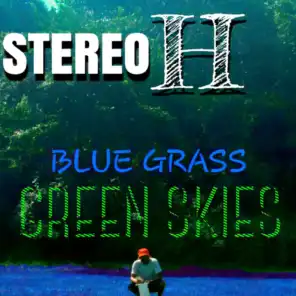 Blue Grass / Green Skies