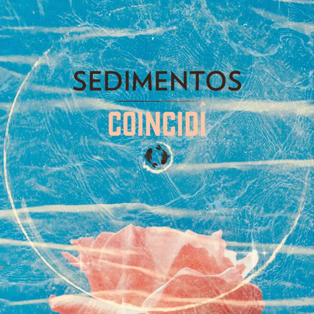 Sedimentos