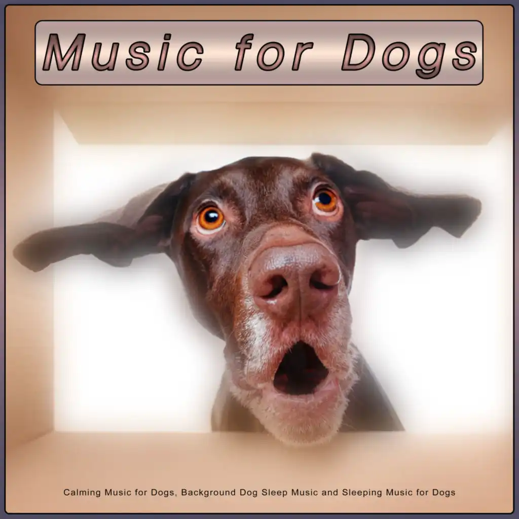 Dog Music For Pets