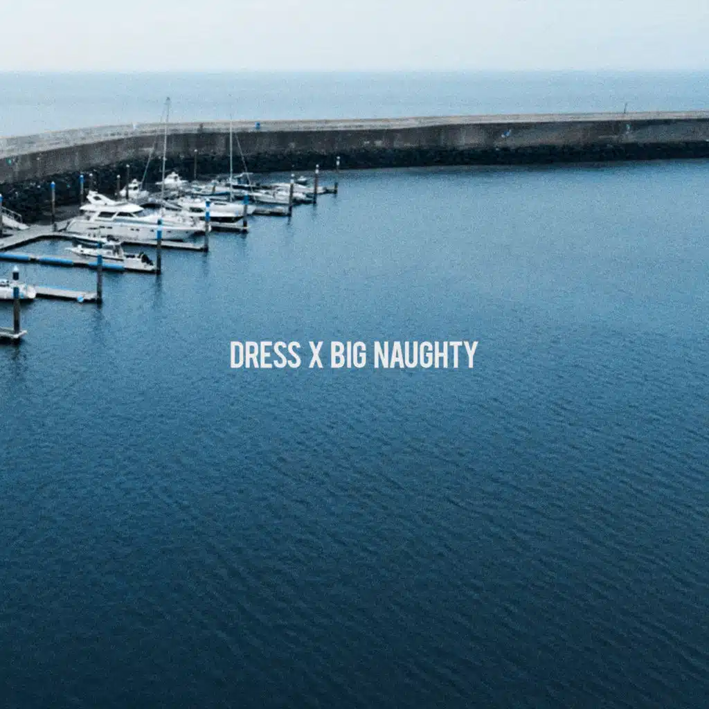 Bourgeois (feat. Zior Park) (prod. dress)