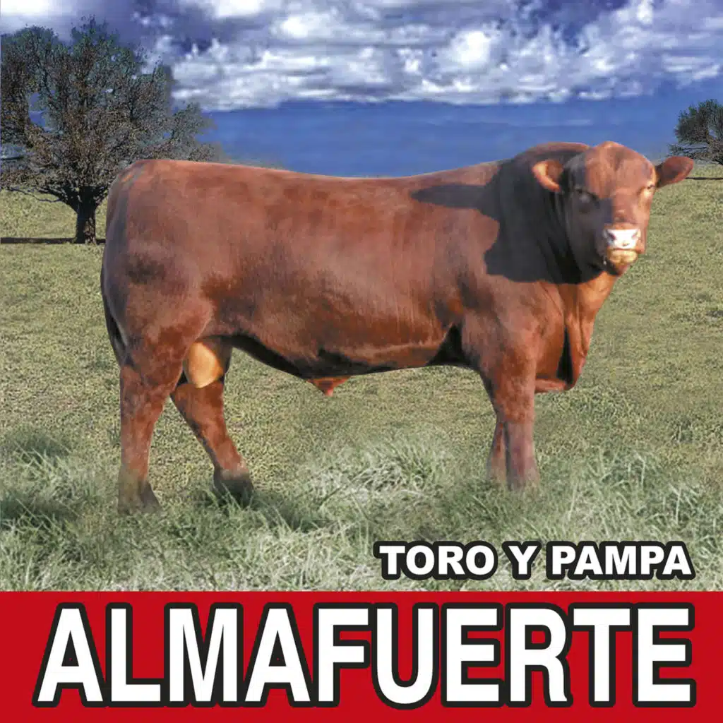 Vencer el Tiempo