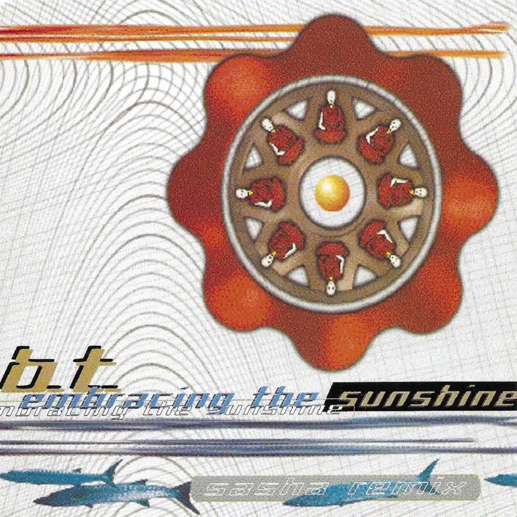 Embracing the Sunshine (Remixes)