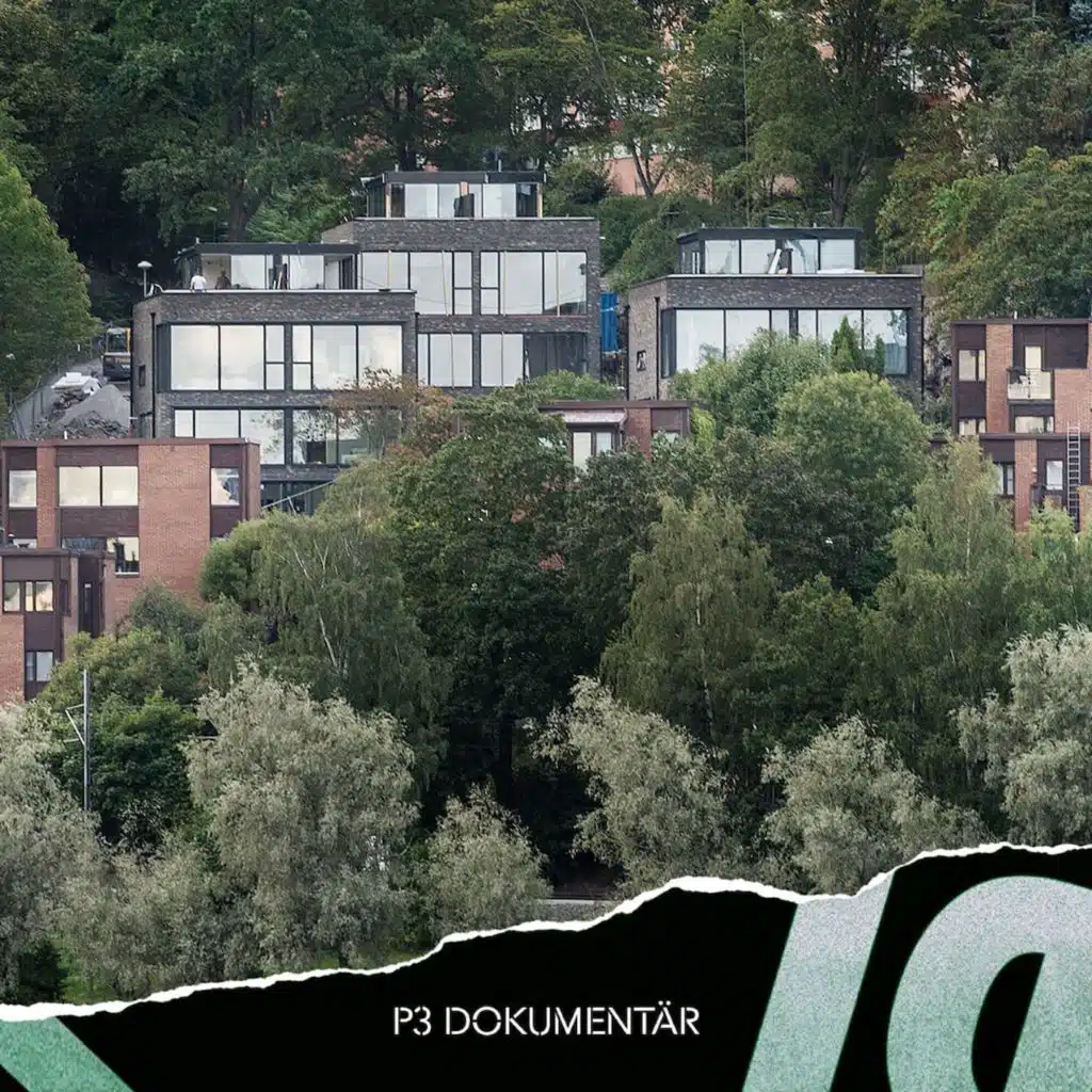 Lidingöligan och lyxstölderna