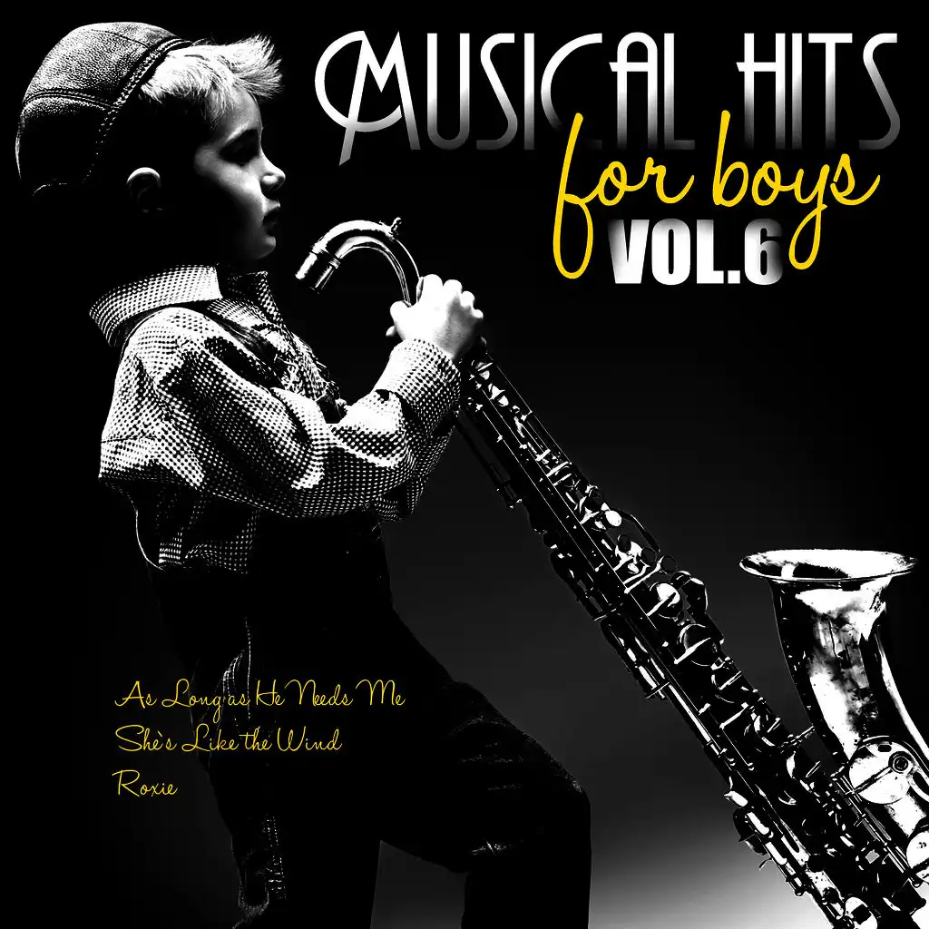 Karaoke - Musical Hits for Boys, Vol. 6