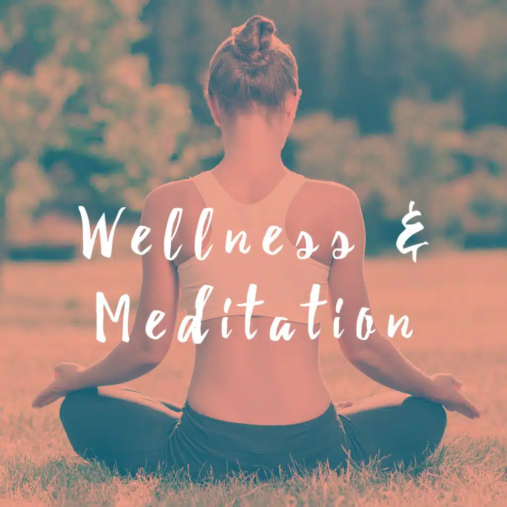 Wellness & Meditation (feat. Musica para Bebes)