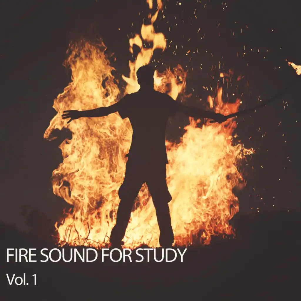 Fire Sound For Study Vol. 1