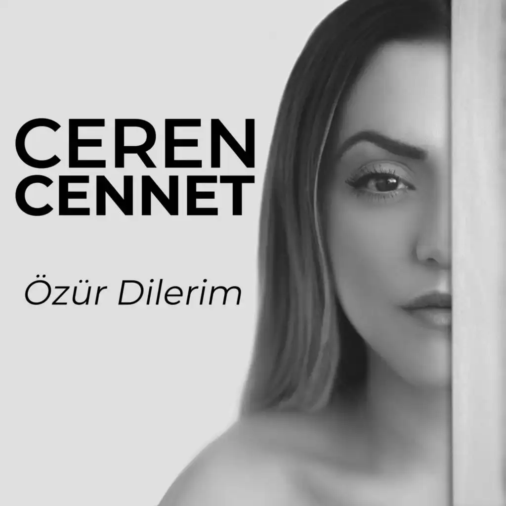 Özür Dilerim