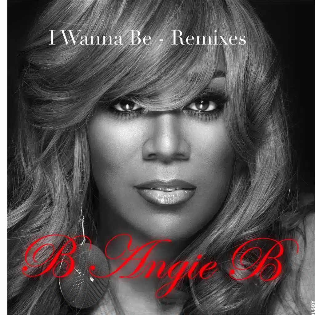 I Wanna Be: Remixes