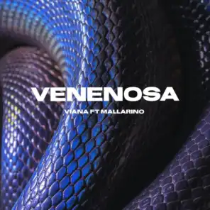 Venenosa (feat. Mallarino)