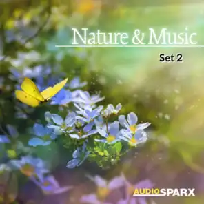 Relaxation, Nature & Acoustic Guitar