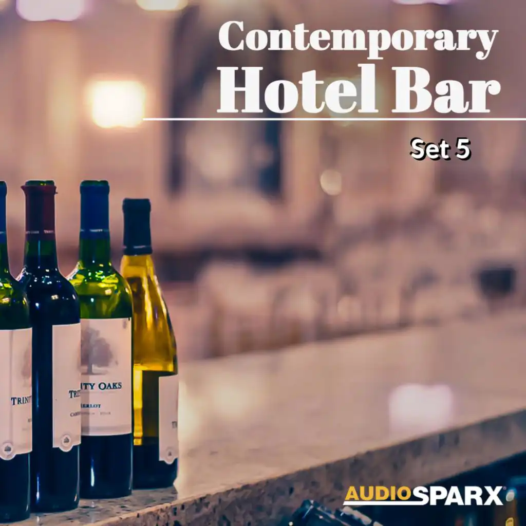 Contemporary Hotel Bar, Set 5