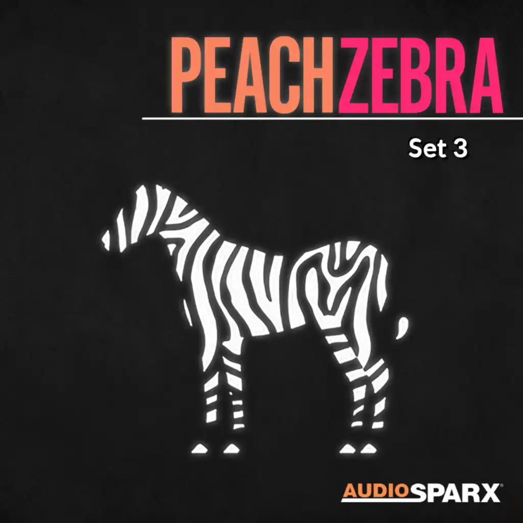 Peach Zebra, Set 3