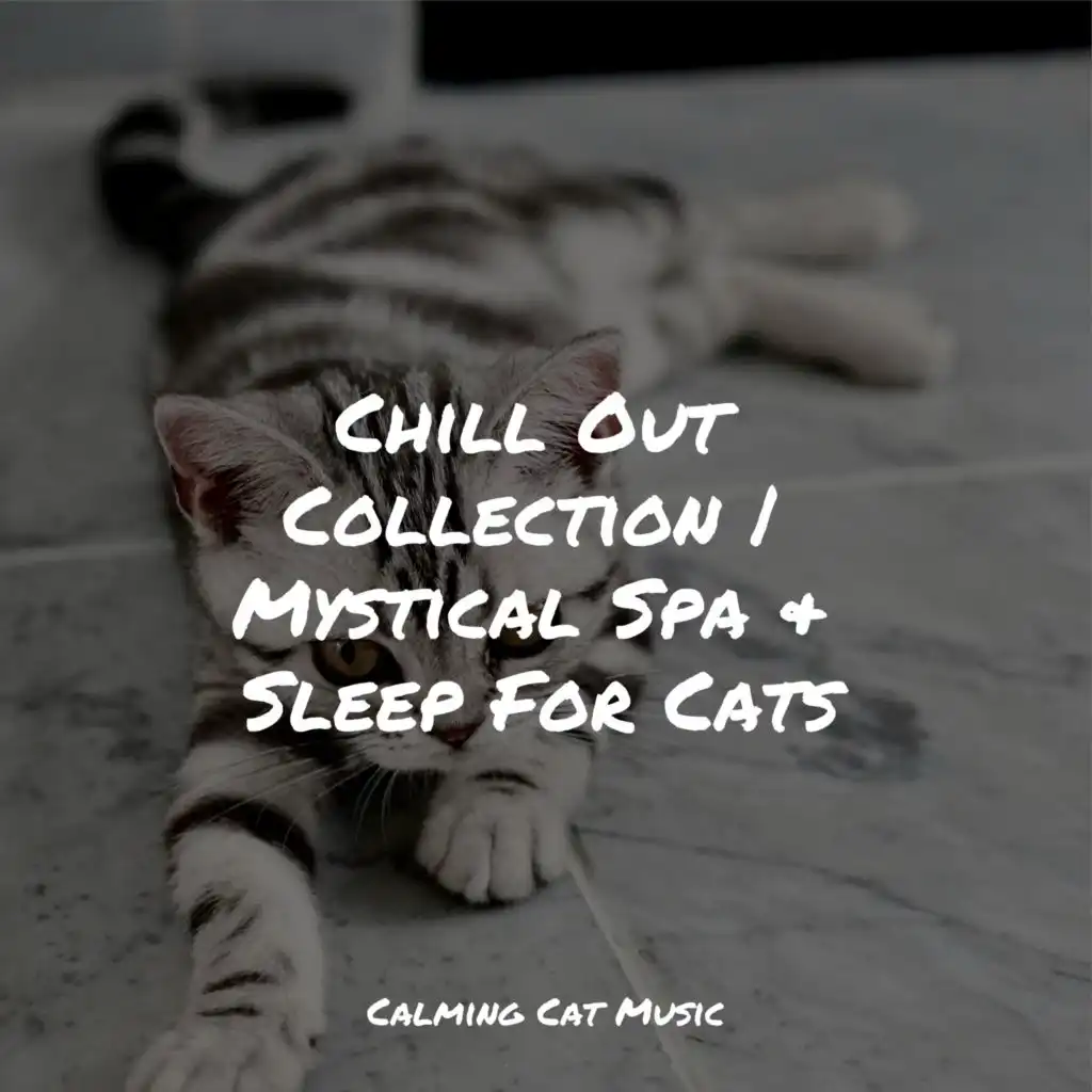 Chill Out Collection | Mystical Spa & Sleep For Cats