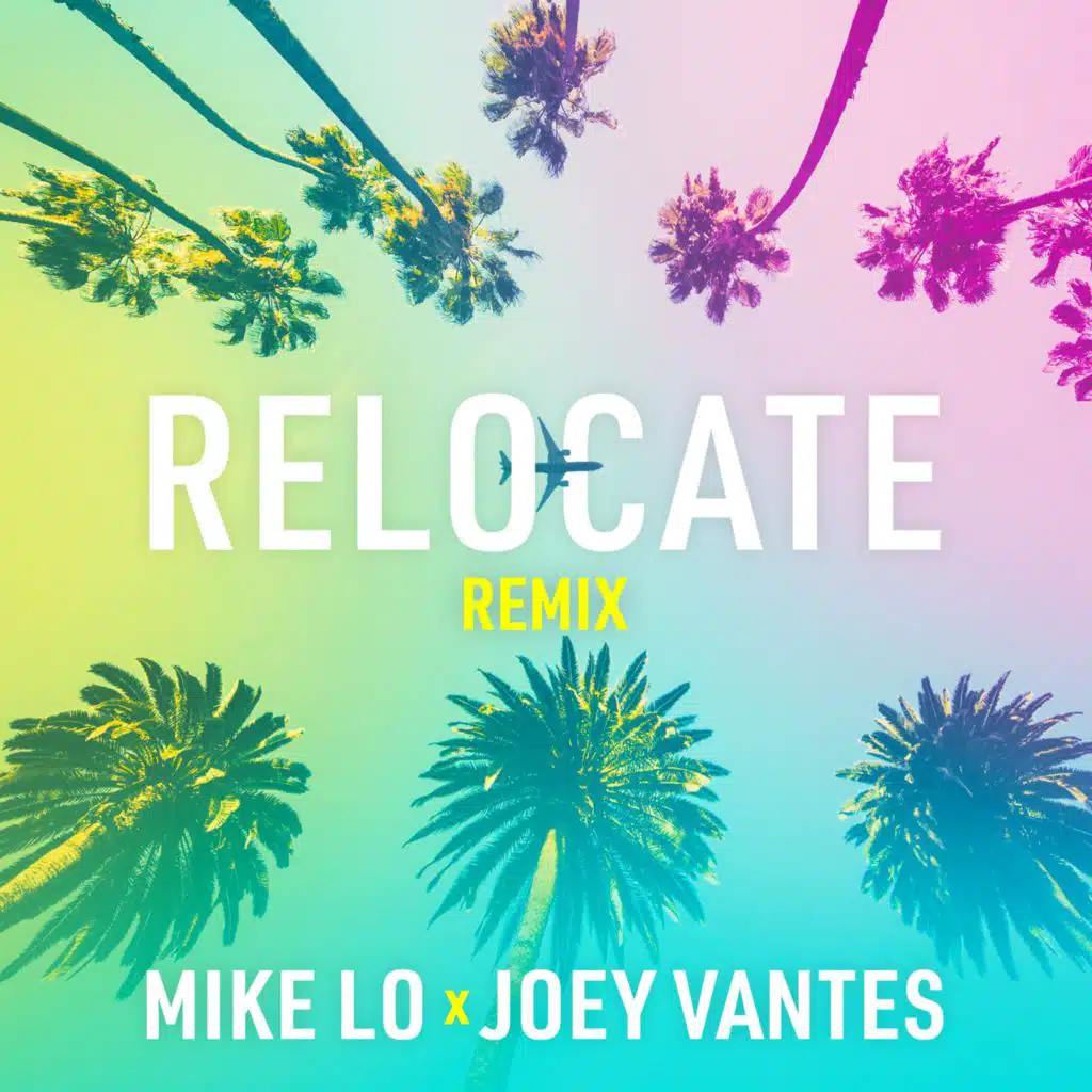 Relocate (feat. Joey Vantes) [Remix]