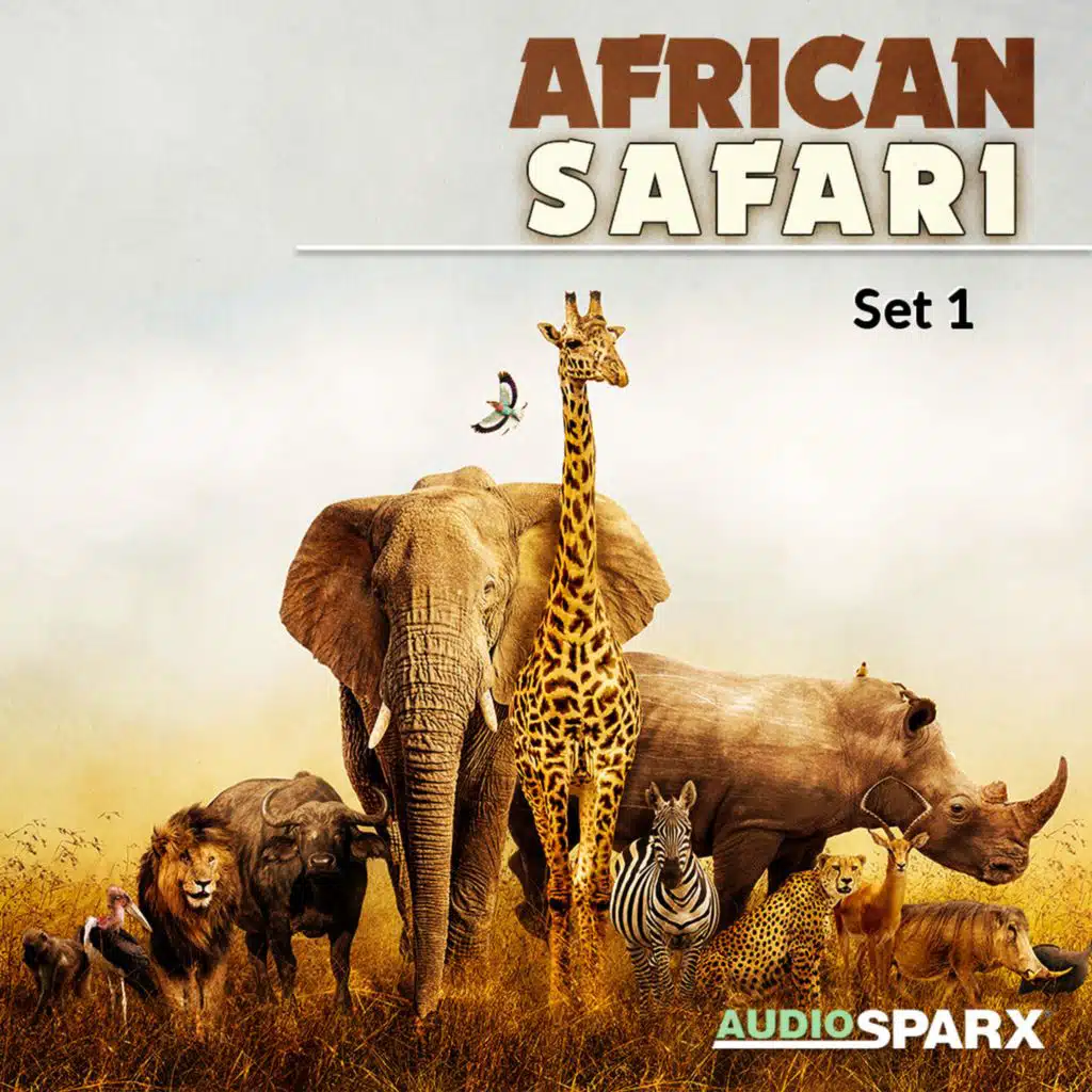 African Safari, Set 1
