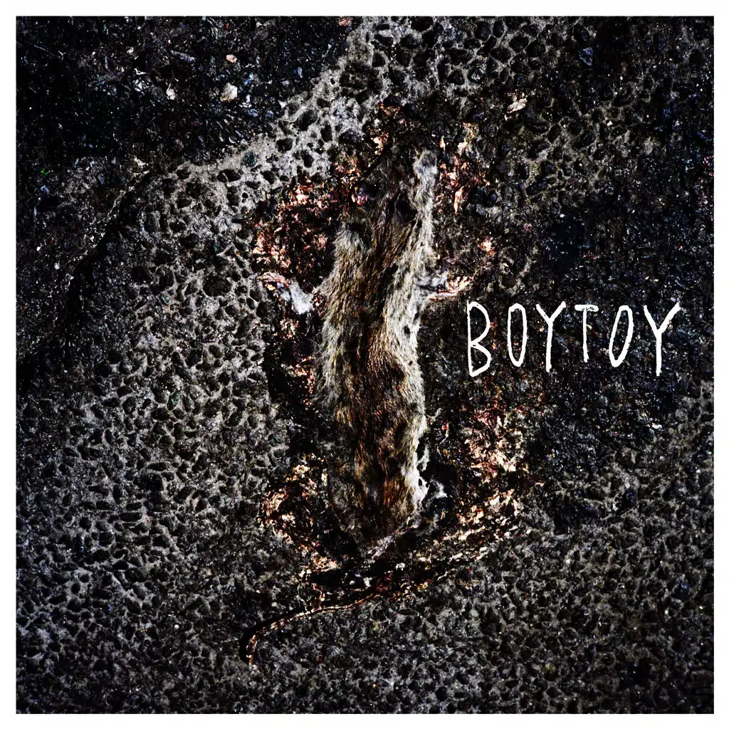 BOYTOY