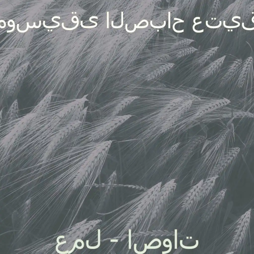 لحظة (صباح)