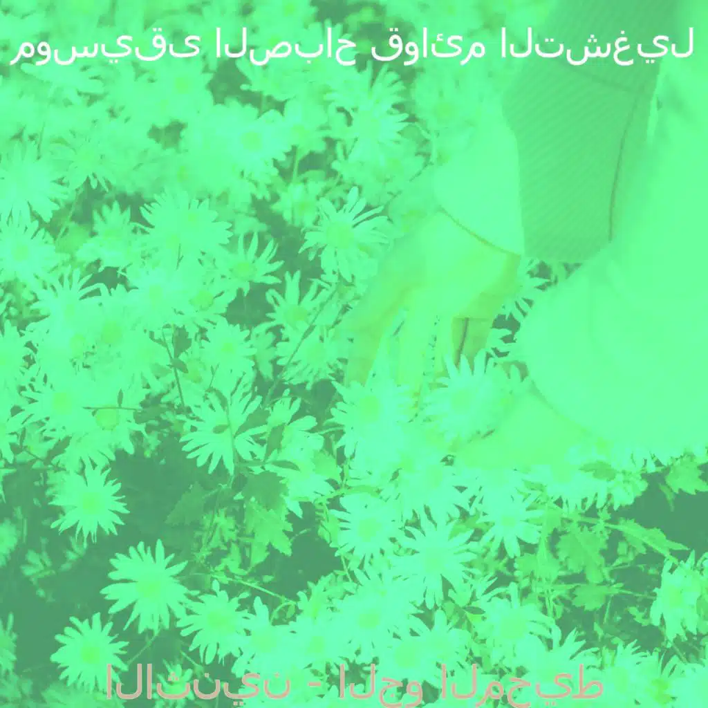 اصوات (الاثنين)